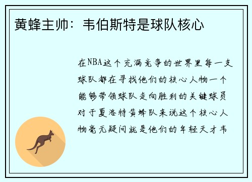 黄蜂主帅：韦伯斯特是球队核心